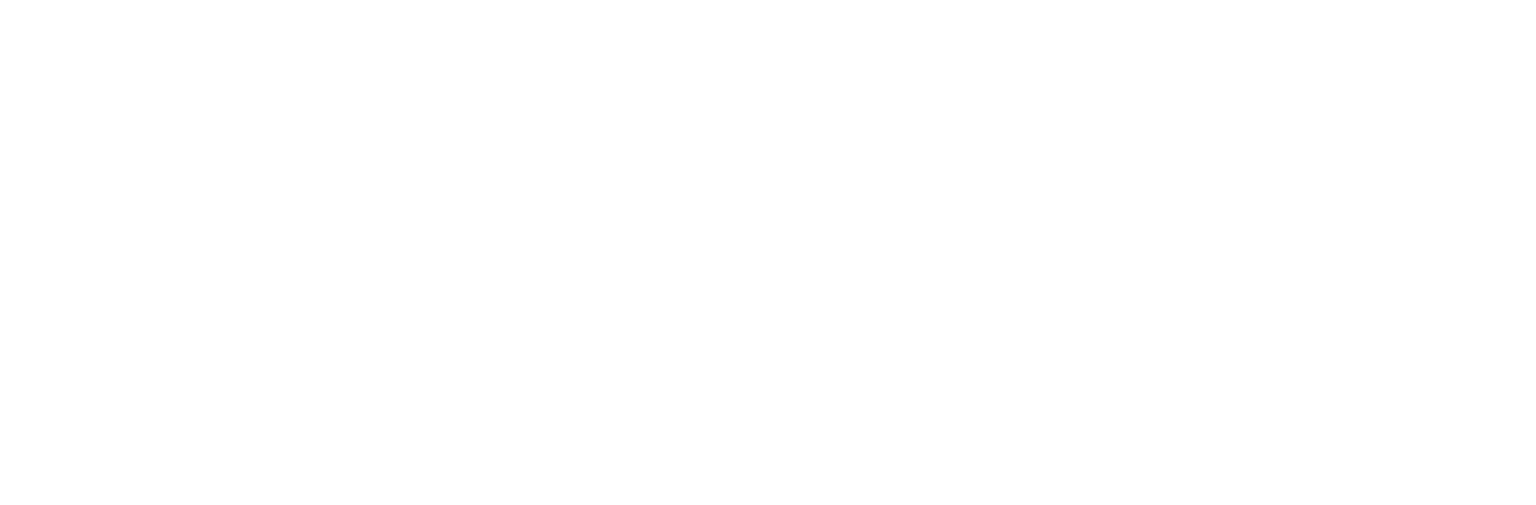 Civicus-Logotipo-Branco-PNG-1-1.png