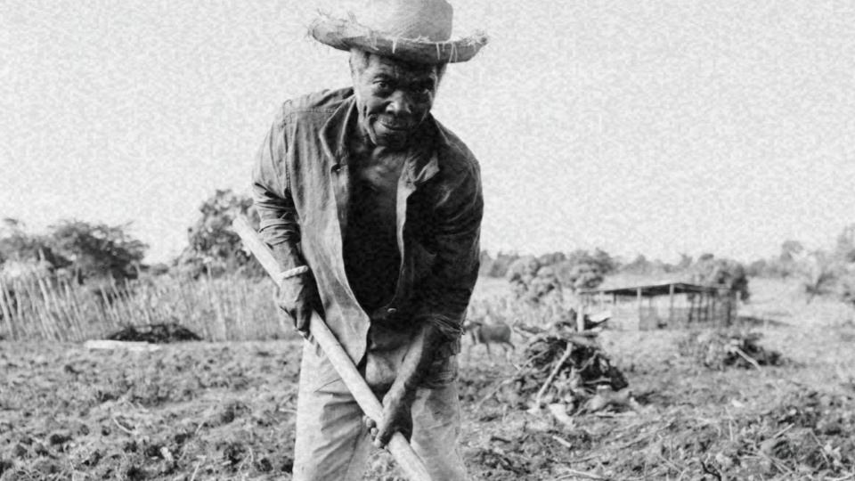 Imagem de um homem negro trabalhando no campo representando discriminação racial no mercado de trabalho
