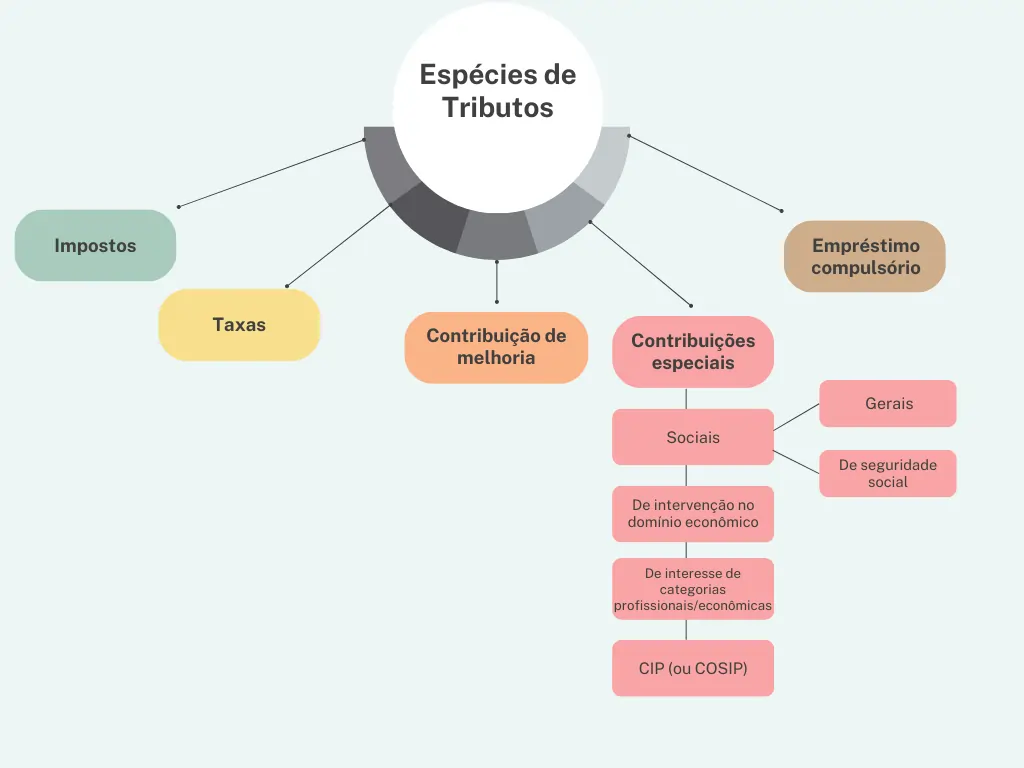 Infográfico de espécies de tributos no Brasil 1.