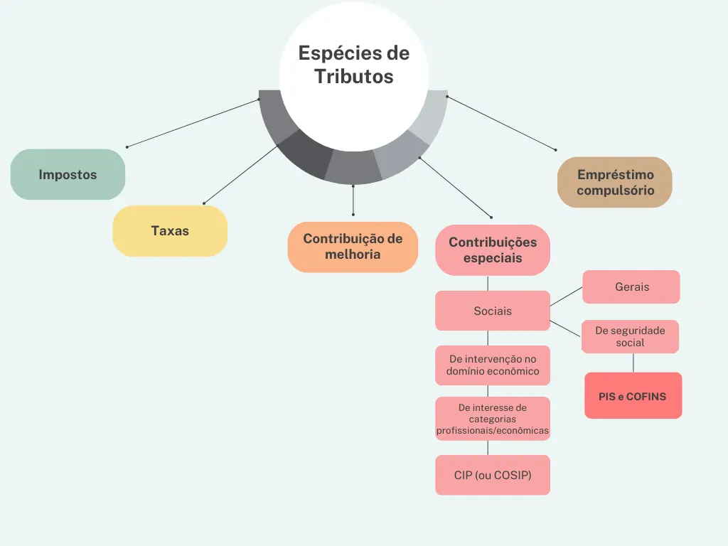 Infográfico de espécies de tributos no Brasil 2. 