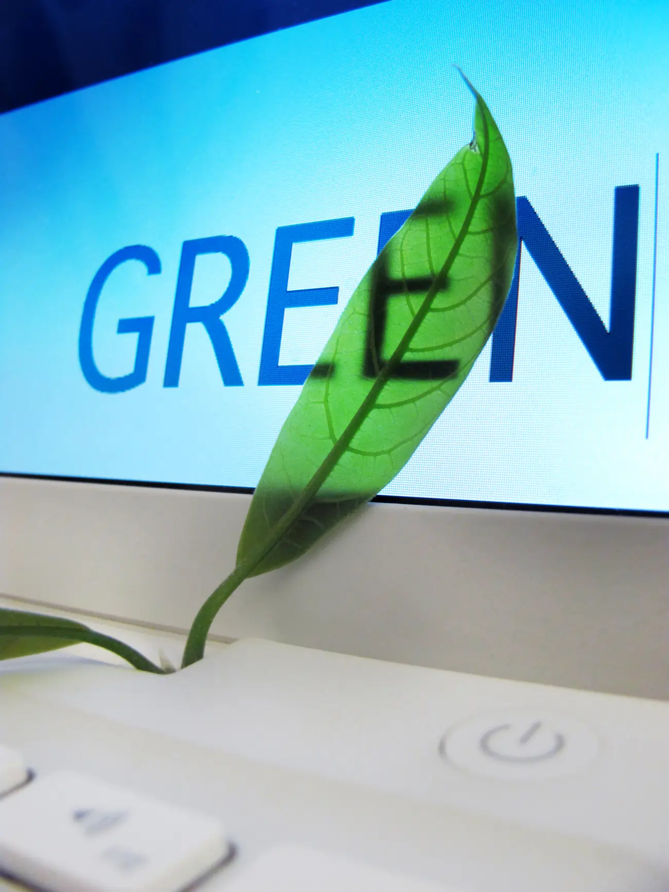 Greenwashing é o que uma marca faz para parecer sustentável.