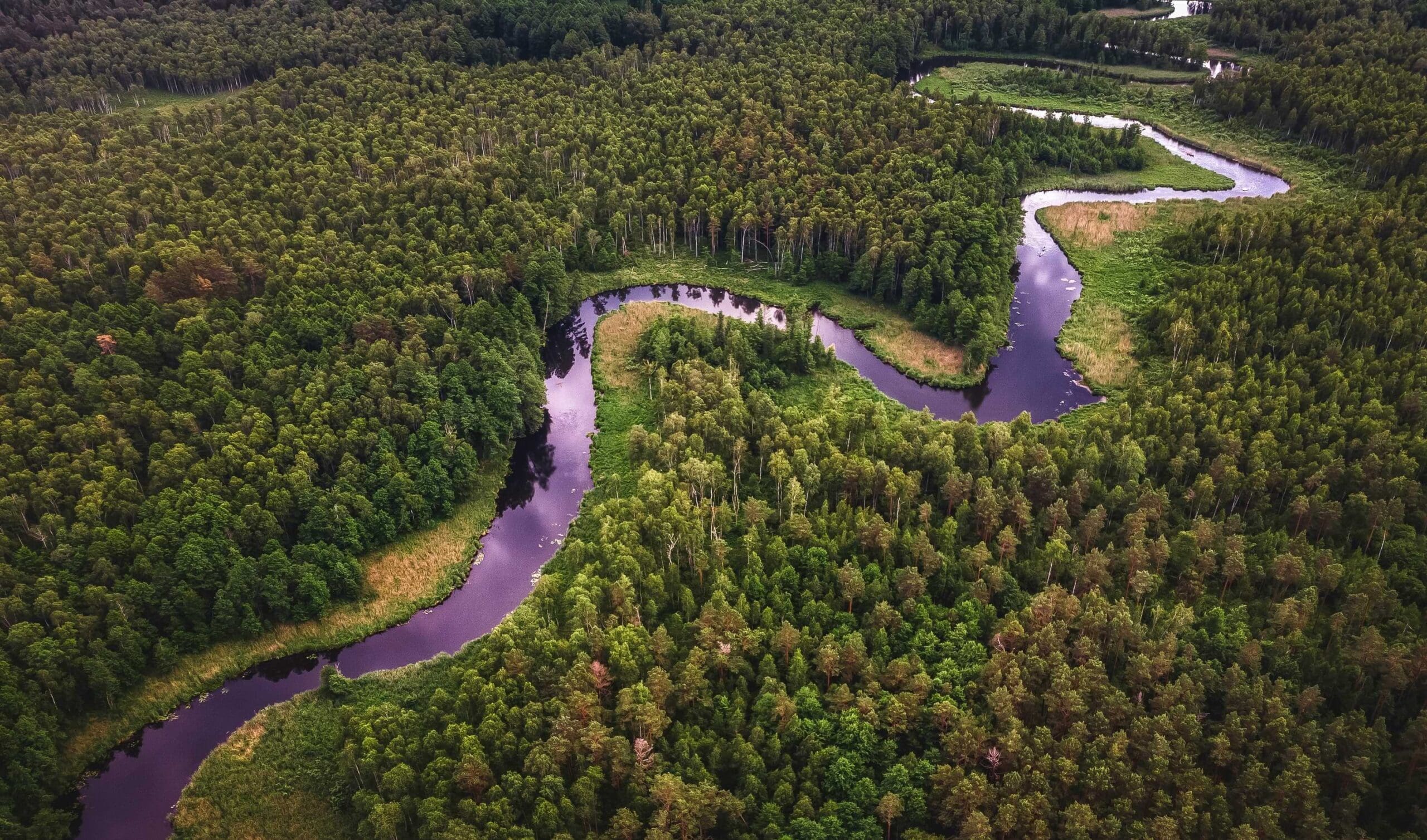 Imagem de rio na floresta amazônica