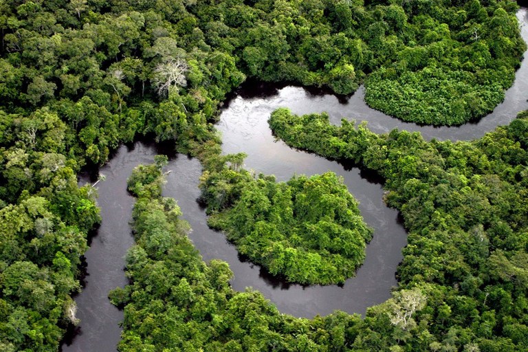 Para projeto-piloto na Amazônia Legal, são mais de R$500 milhões destinados para atividades de conservação e recuperação da natureza. O projeto tem base na legislação do Código Florestal. Imagem: Arquivos Governo do Brasil, 2020.