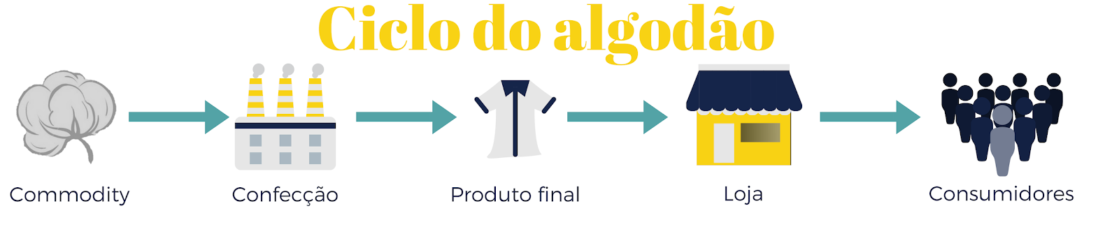 Ciclo do algodão