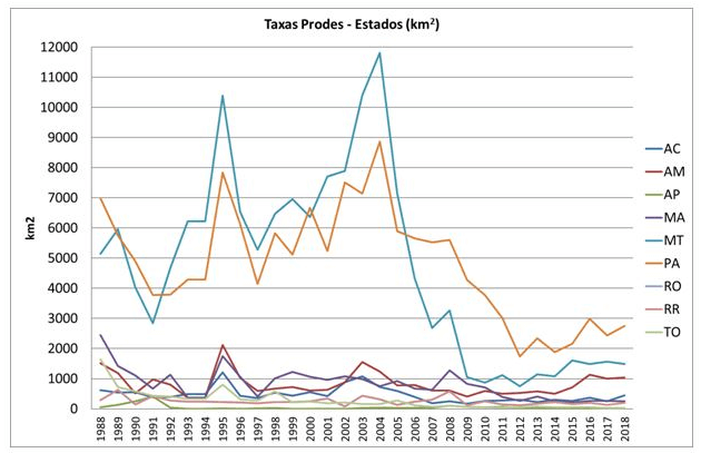 desmatamento no Brasil por estados