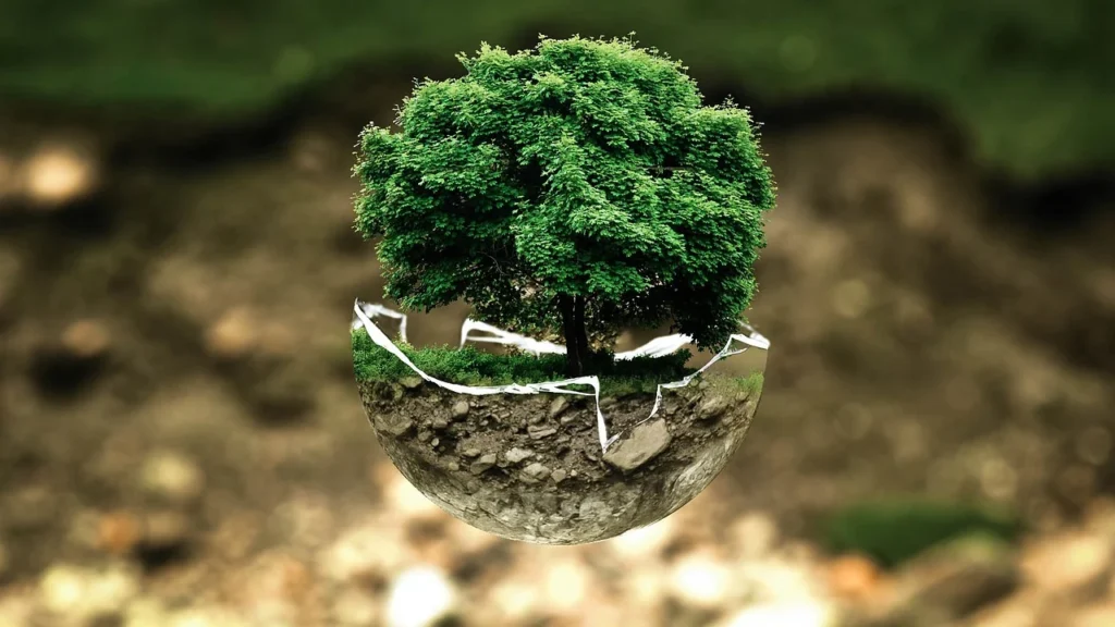 Proteção ambiental e pegada ecológica. Imagem: Pixabay.