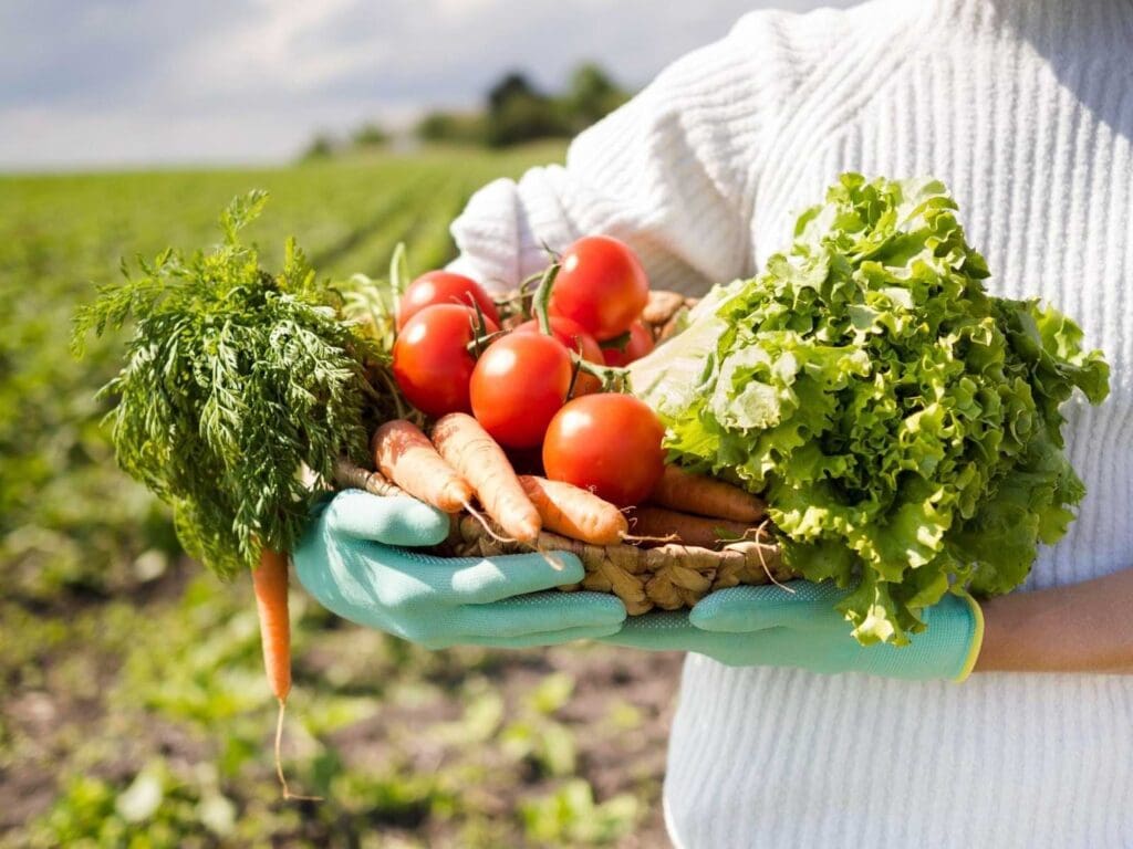 Imagem com uma pessoa em primeiro plano segurando diversos alimentos, como cenoura, tomate e alface. Isso representa a busca por Fome Zero e Agricultura Sustentável