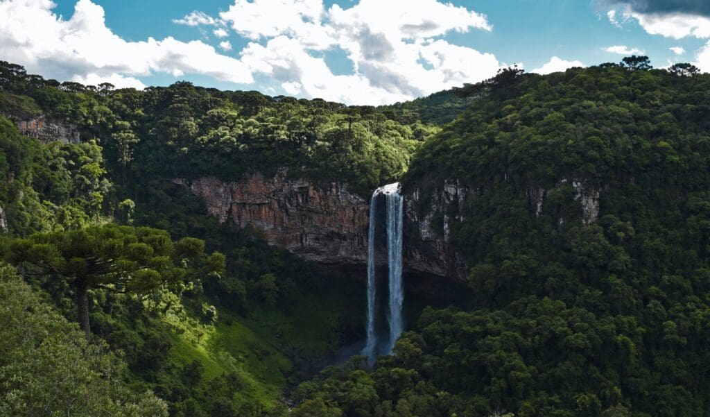 Corredores ecológicos no Brasil. Imagem: Renan Bomtempo/ Pexels.