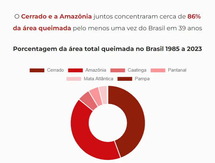 Dados em forma de gráfico que mostra área total das queimadas entre 1985 e 2023, dando destaque para o Cerrado e a Amazônia.