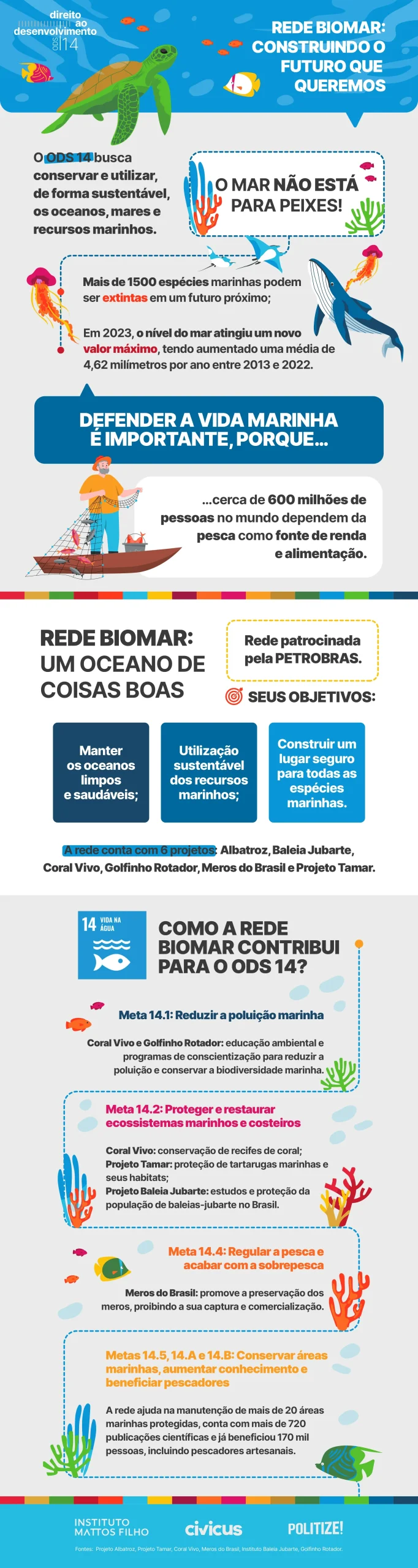 Infográfico sobre Rede Biomar e animais marinhos