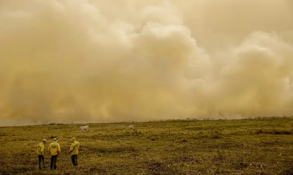 Imagem do bioma Pantanal coberto por fumaça pelas queimadas no Brasil, com 3 pessoas posicionados no canto da imagem e alguns animais pastando.