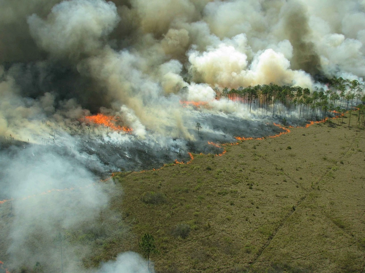 Imagem aérea de floresta em chamas. A queimada é uma prática ilegal abordada pela Lei de Crimes Ambientais.