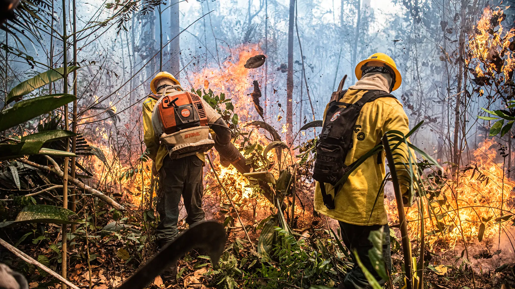 Dois brigadistas apagando incêndio proveniente das queimadas em uma floresta amazônica.