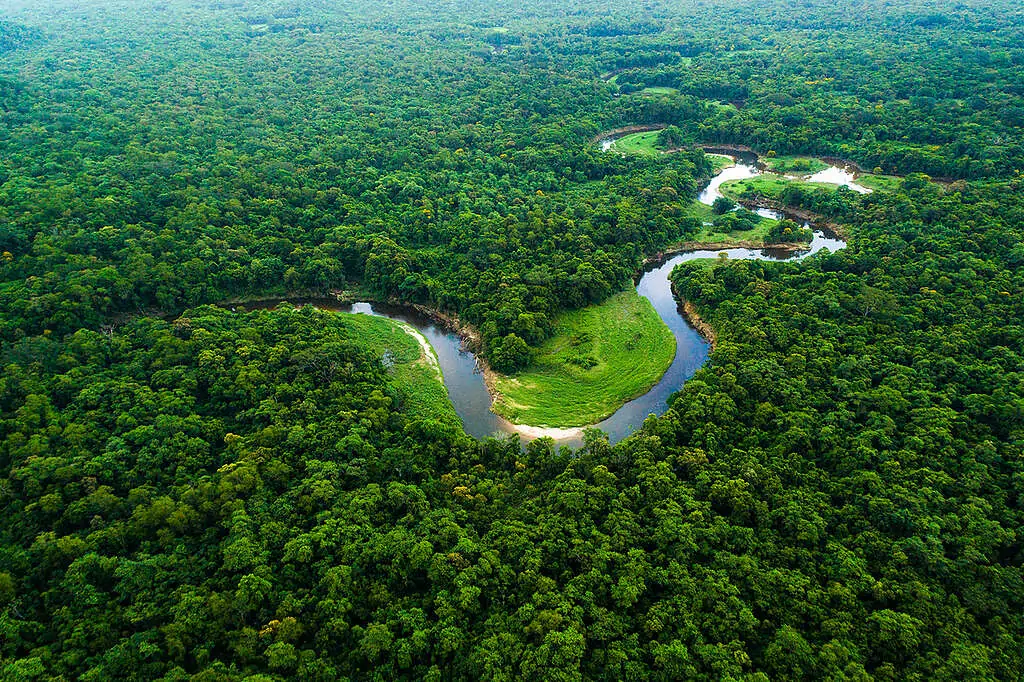 Foto da Amazônia com um rio sinuoso com uma floresta densa em volta. Texto: COP30: Uma Década do Acordo de Paris e os Desafios do Clima